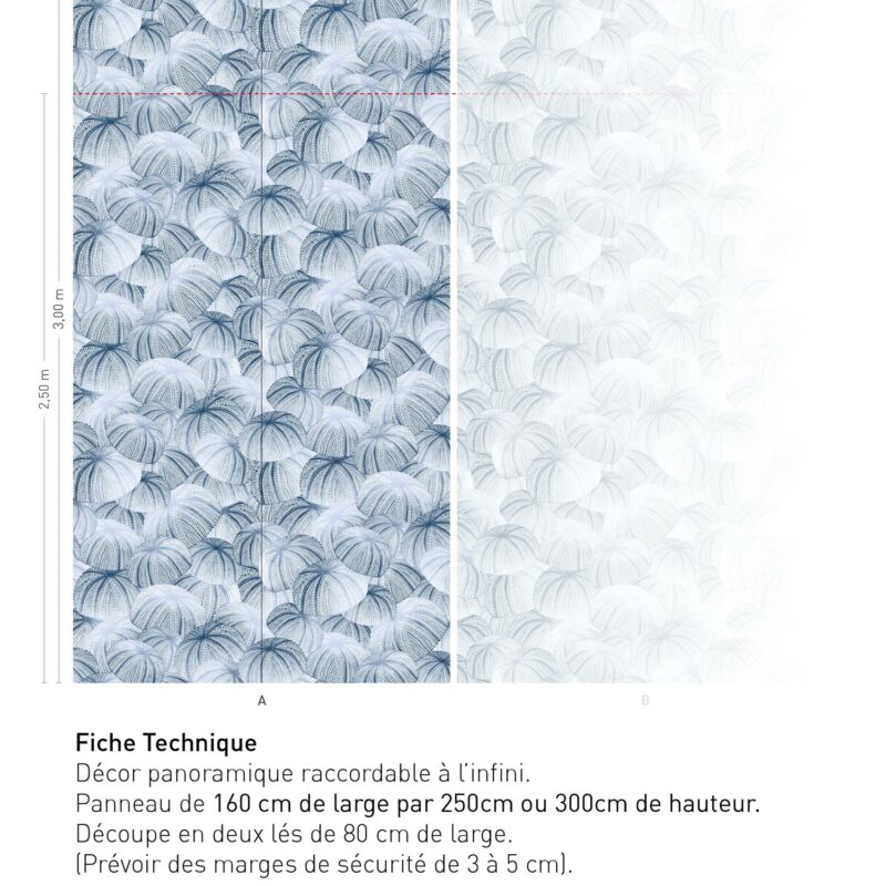 Fiche technique Echinodermes - BLEU HORIZON