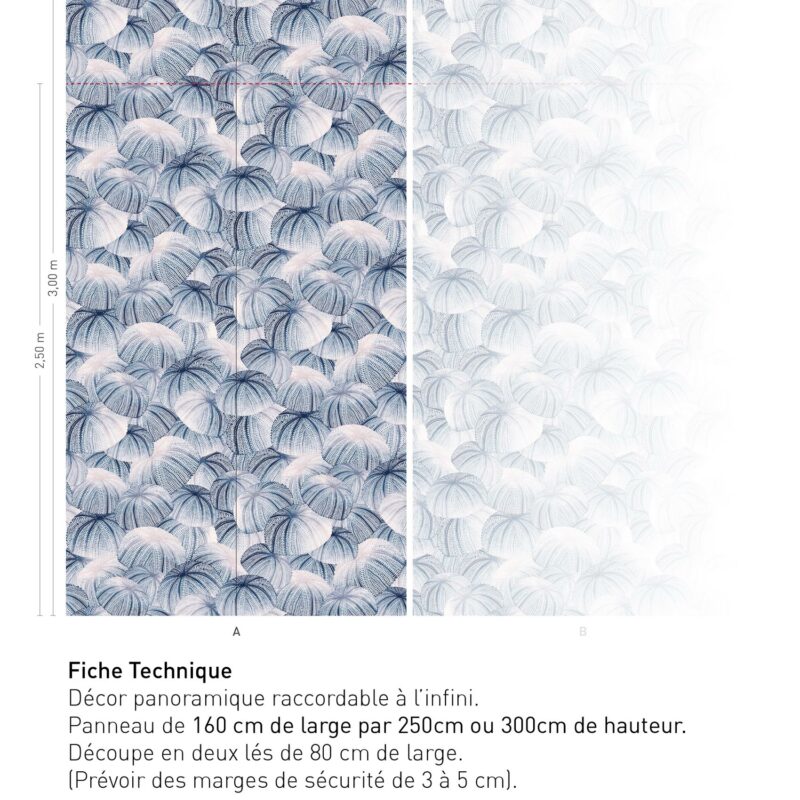 Fiche technique Echinodermes - MINUIT