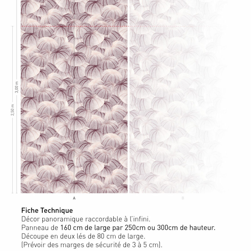 Fiche technique Echinodermes - SÉPIA