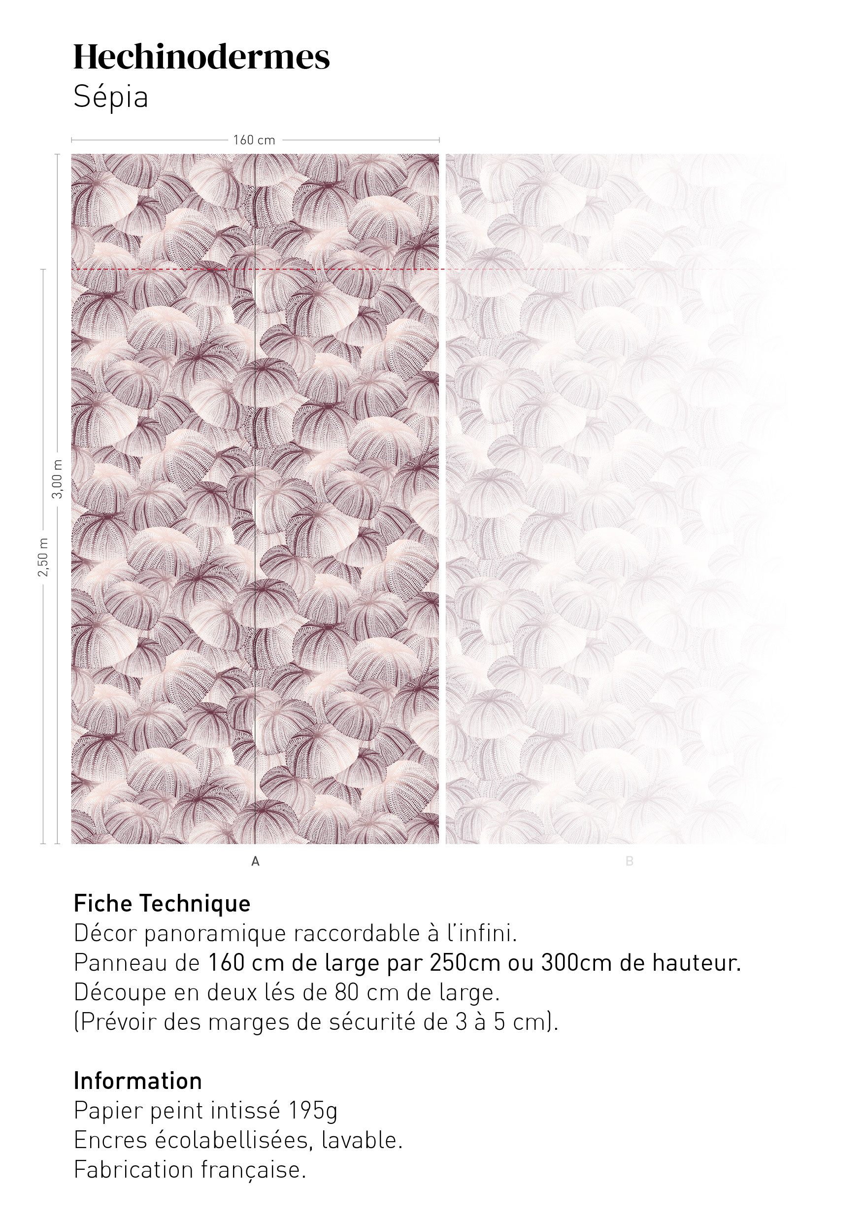 Fiche technique Echinodermes - SÉPIA