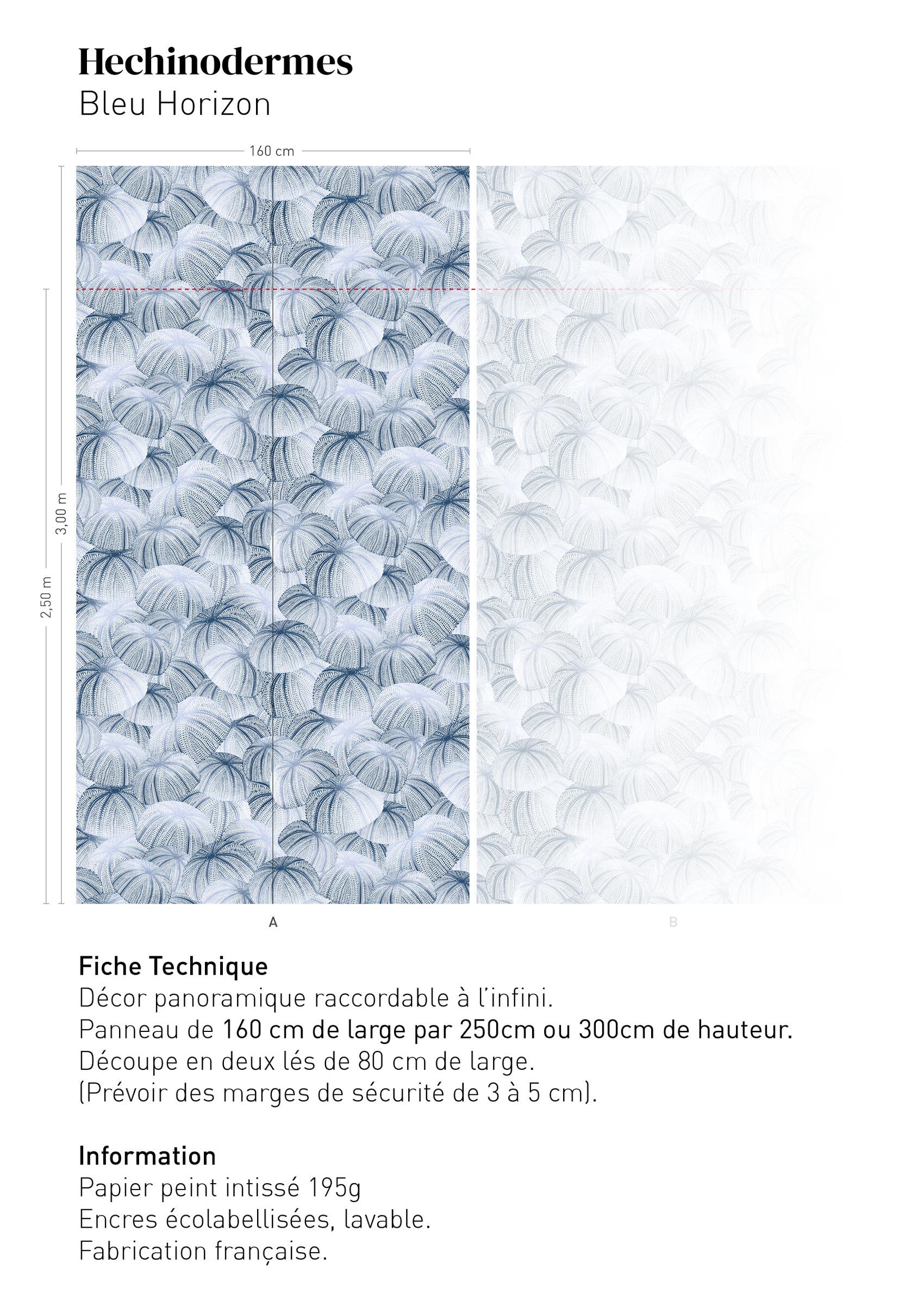 Fiche technique Echinodermes - BLEU HORIZON