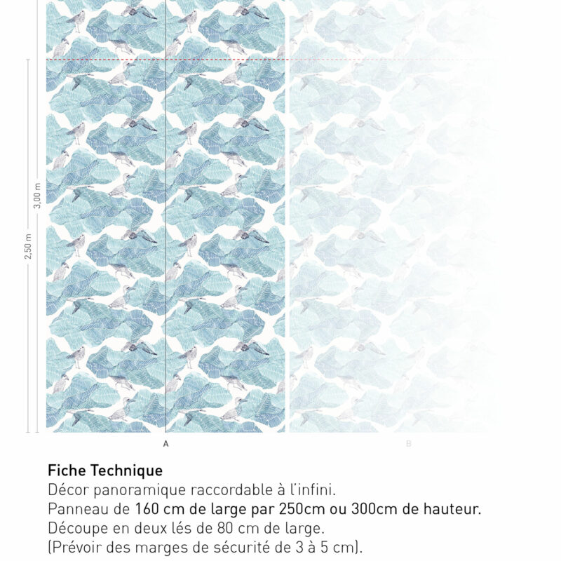 Fiche technique Flying On Ice