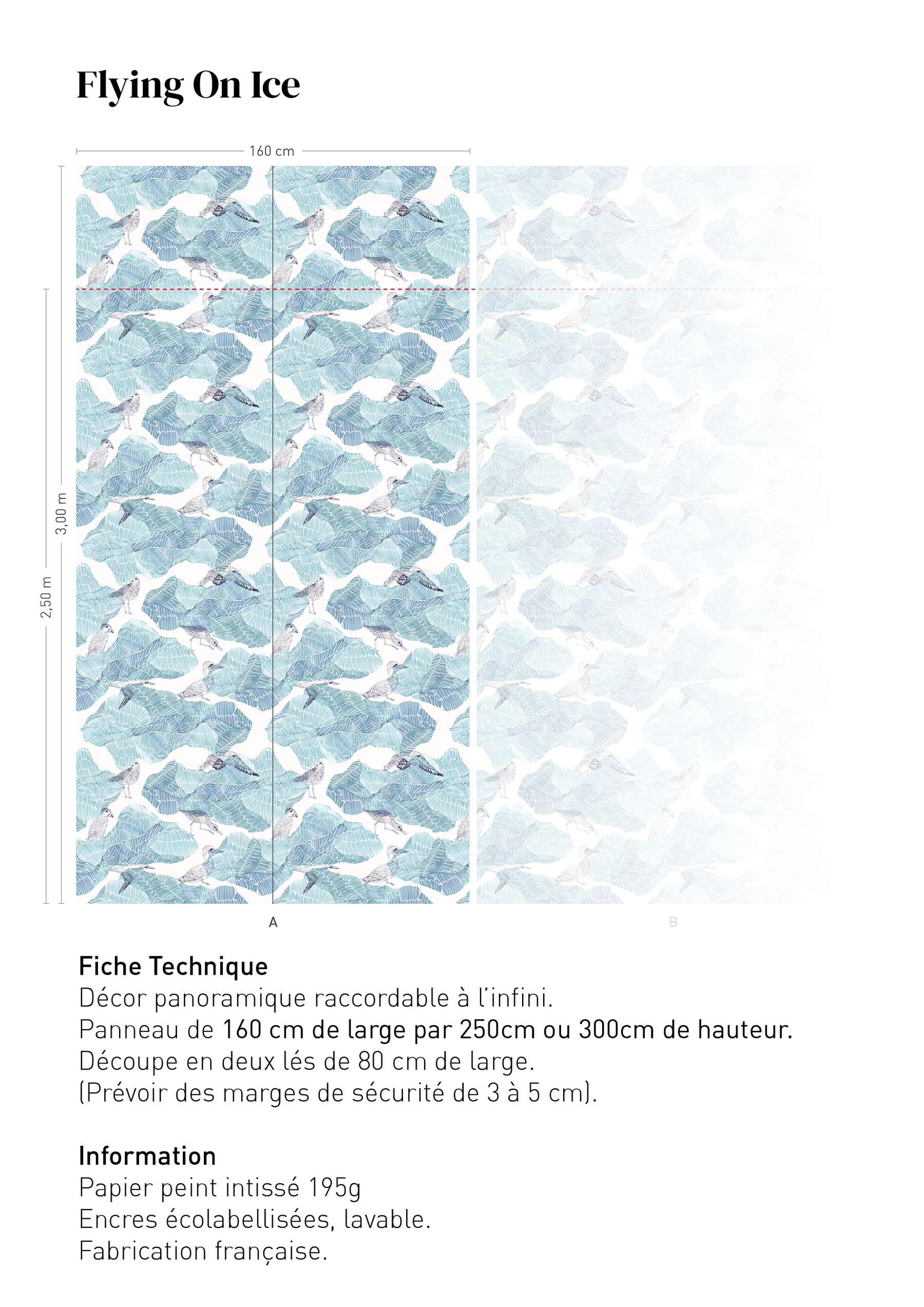 Fiche technique Flying On Ice