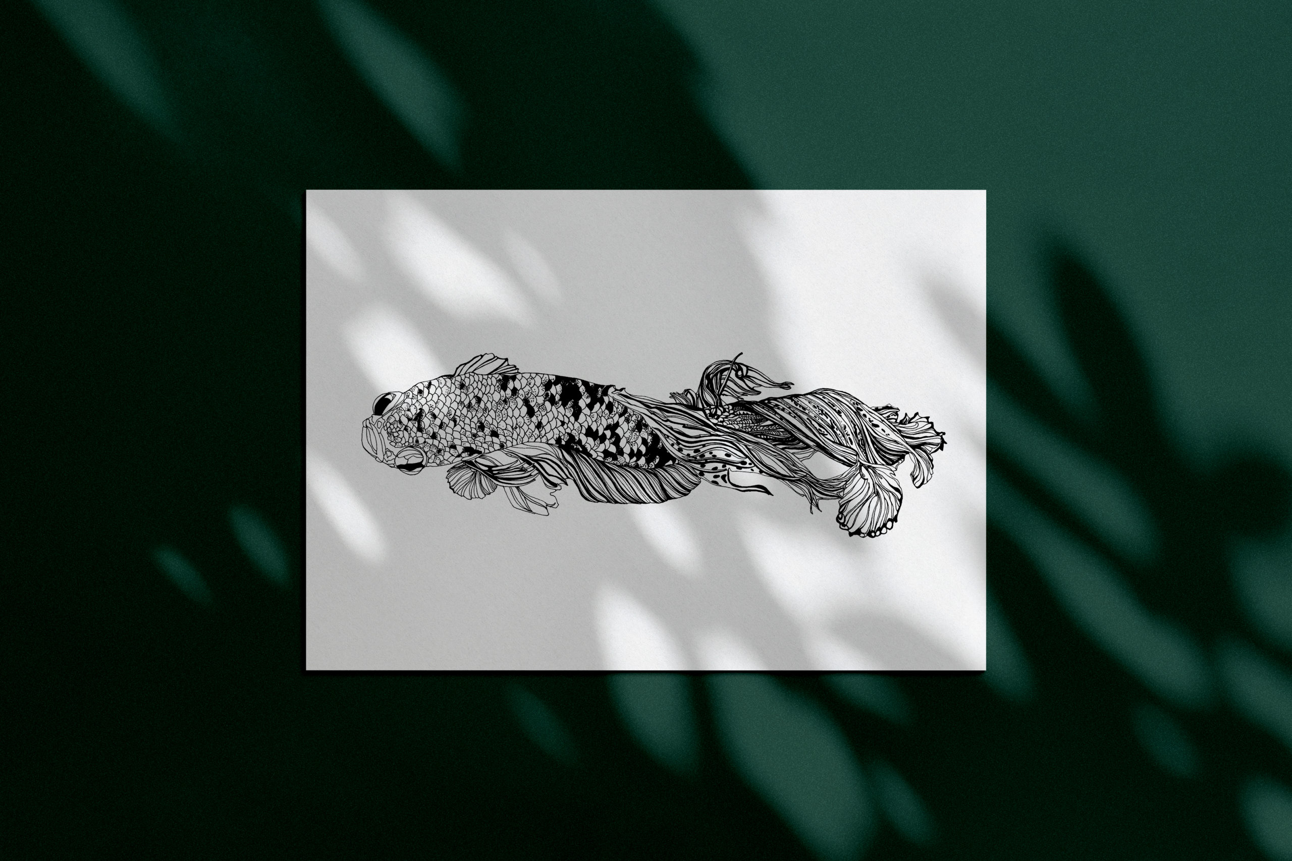 Betta 1 moke up feuille