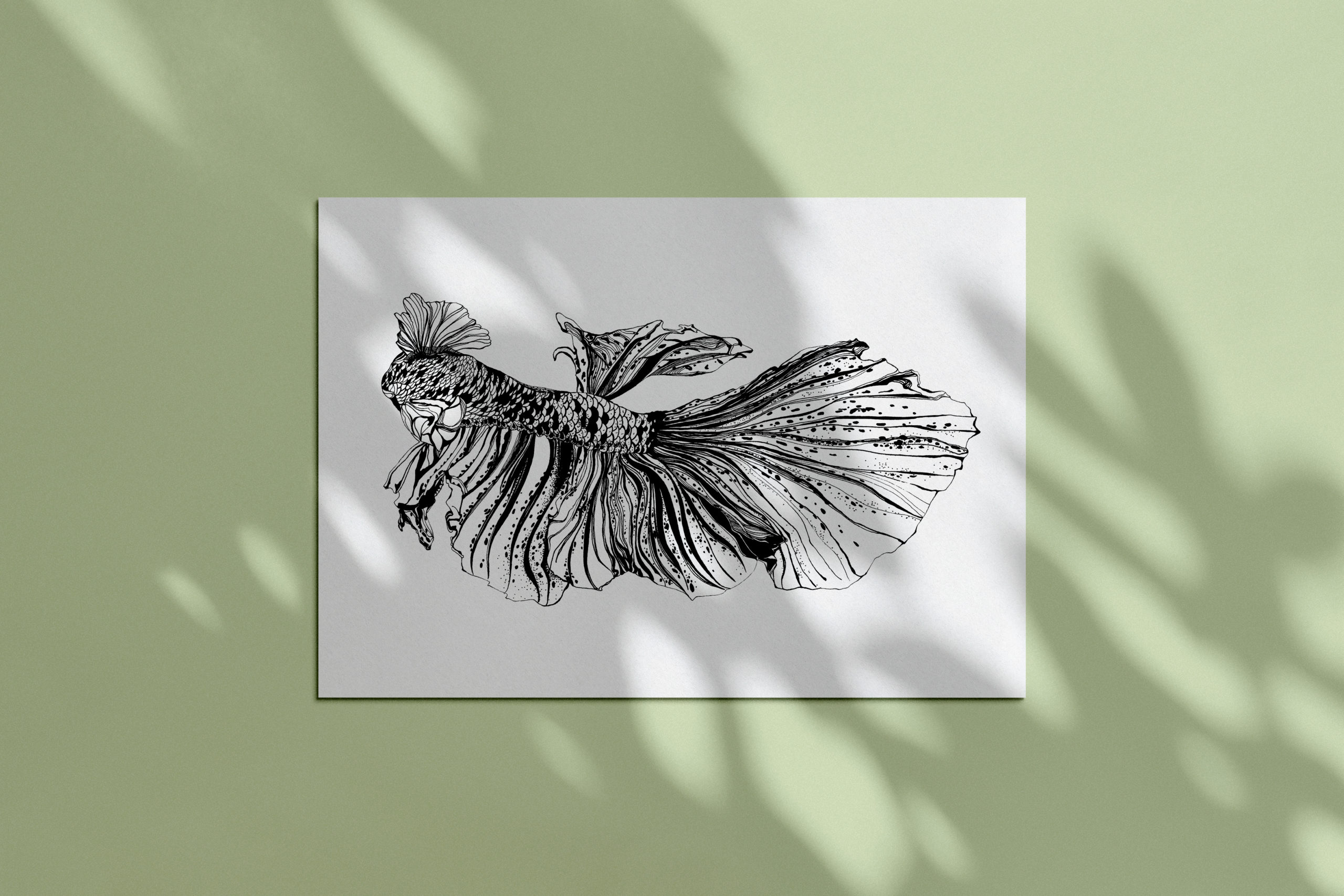 Betta 2 moke up feuille