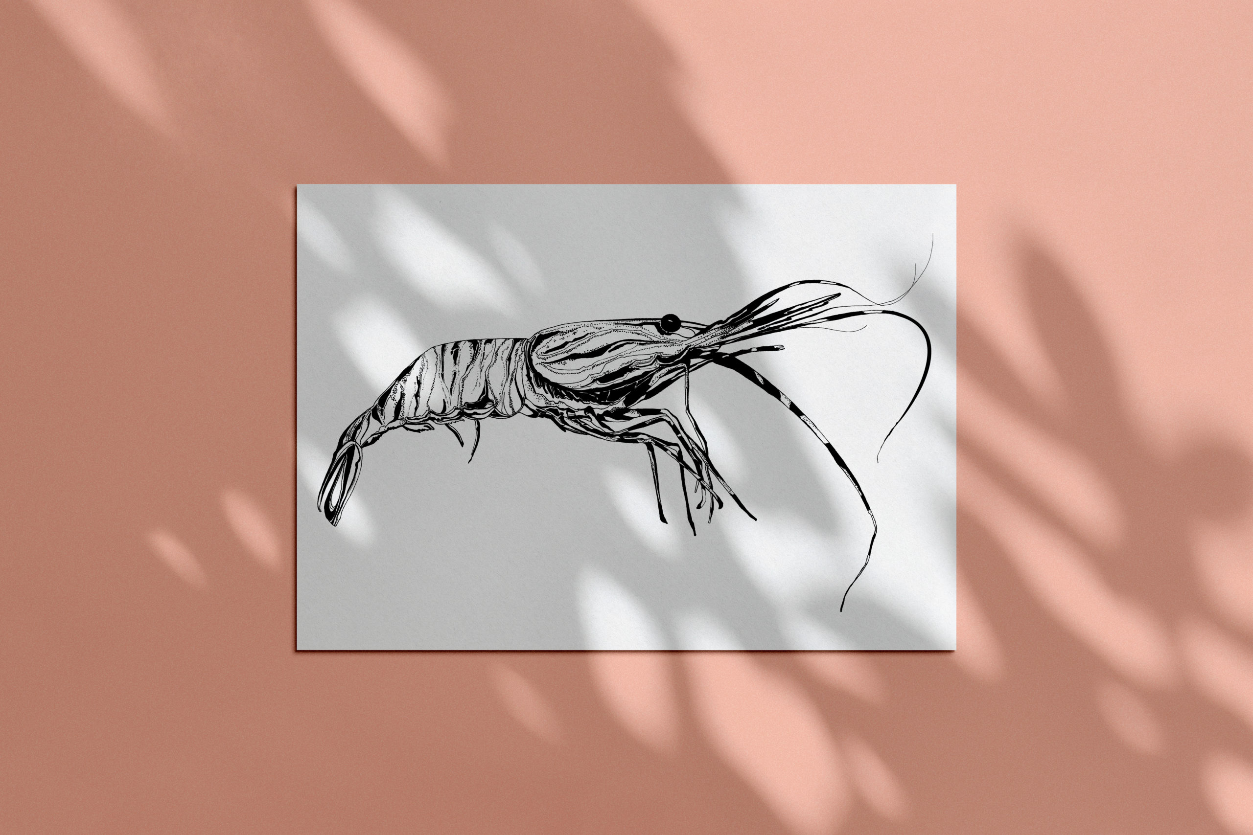 Crevette moke up feuille