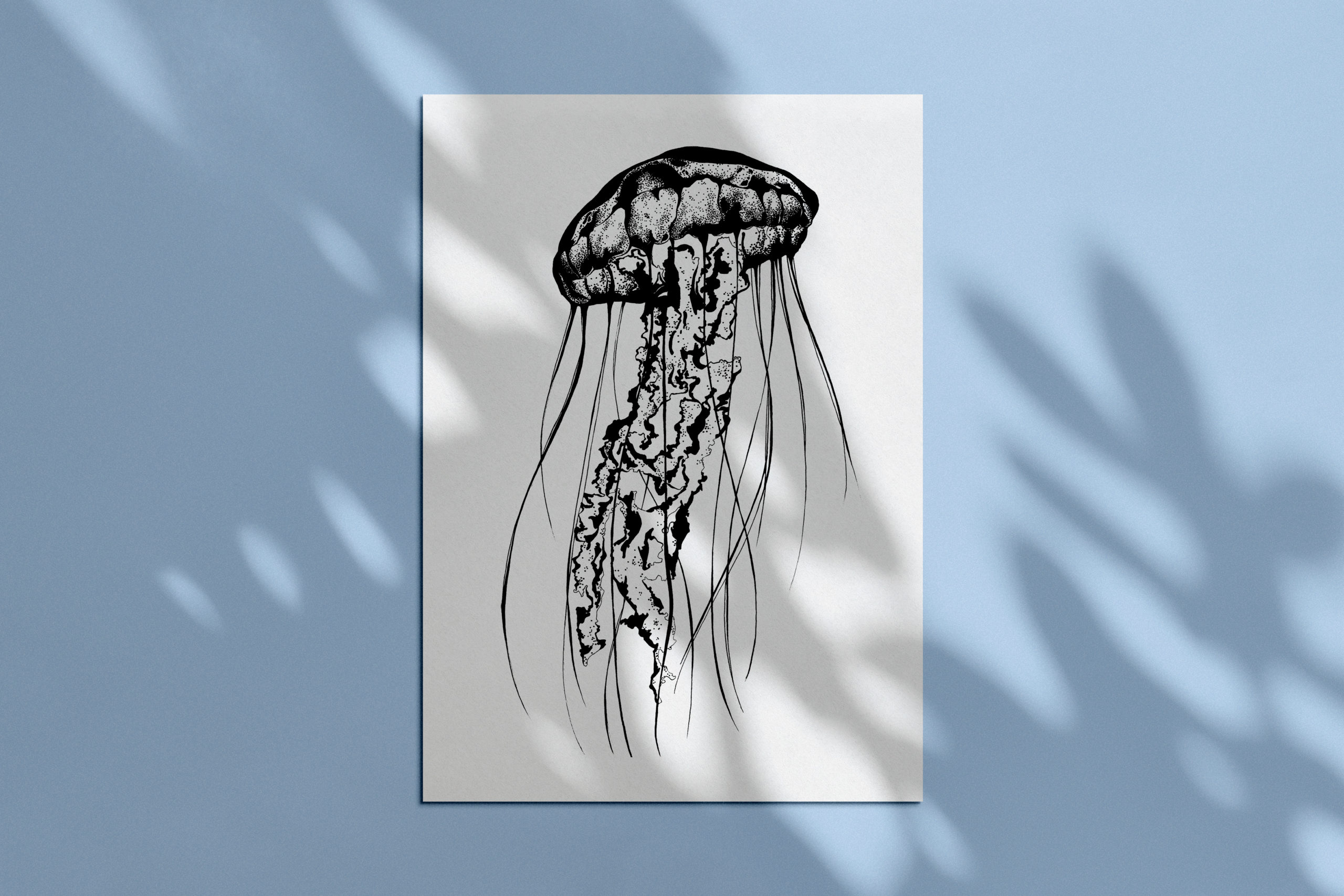 Meduse 1 moke up feuille