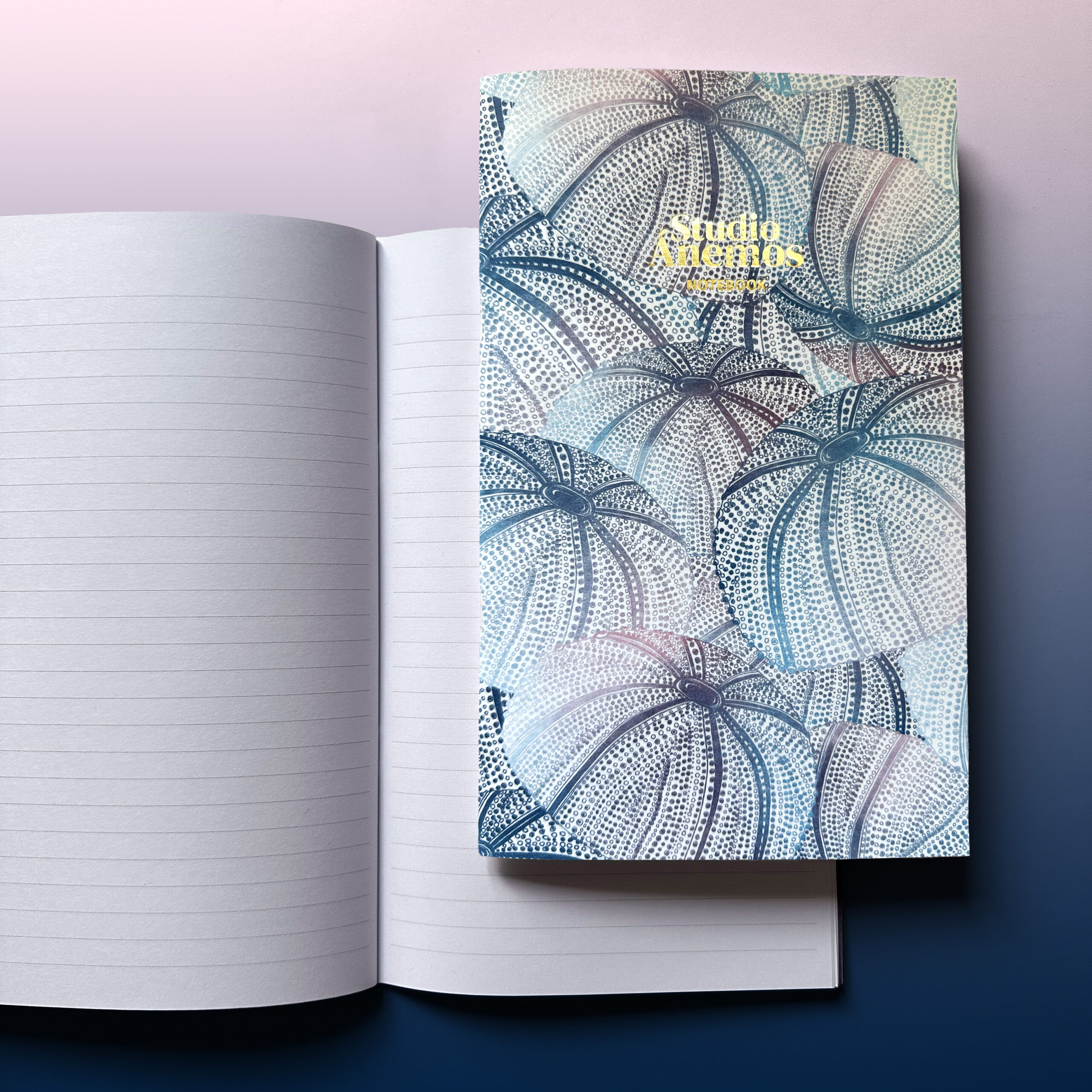 Retouche notebook Echinodermes 1