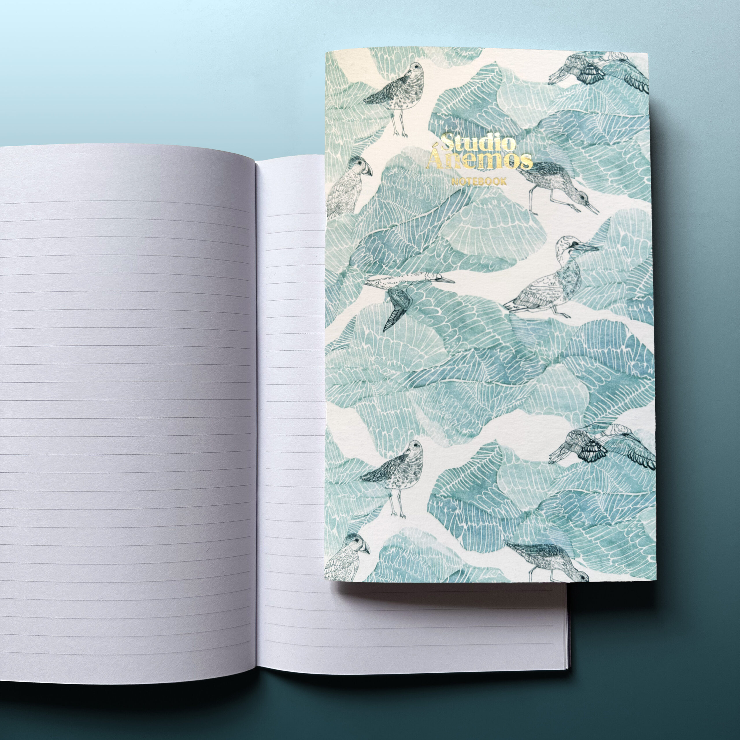 Retouche notebook Flying on ice