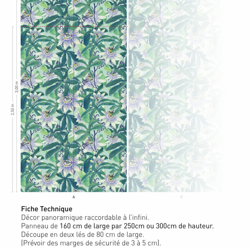 Passiflore Opaline